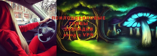 бошки Верея