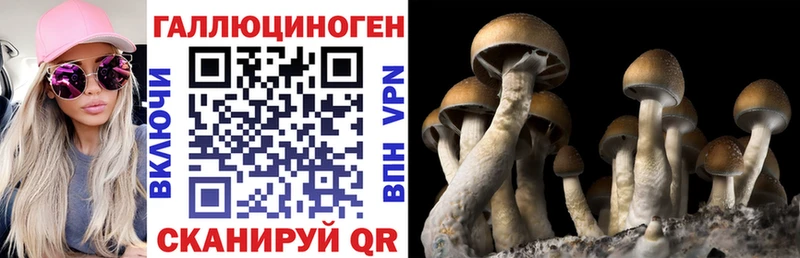 Галлюциногенные грибы Magic Shrooms  дарк нет как зайти  Северобайкальск 